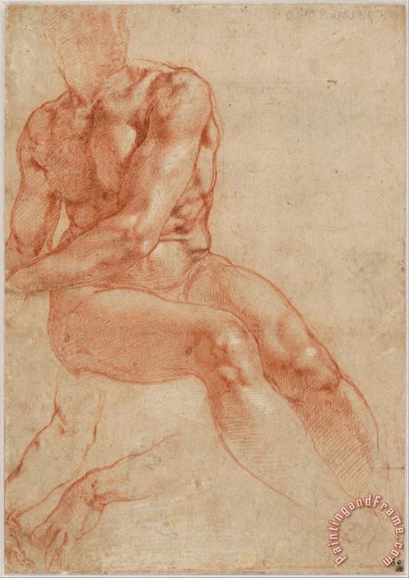 Michelangelo Buonarroti Seated Young Male Nude And Two Arm Studies (recto) Art Print