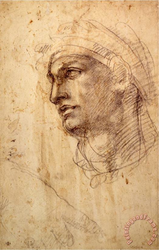 Study of a Head Charcoal Inv 1895 9 15 498 W 1 painting - Michelangelo Buonarroti Study of a Head Charcoal Inv 1895 9 15 498 W 1 Art Print