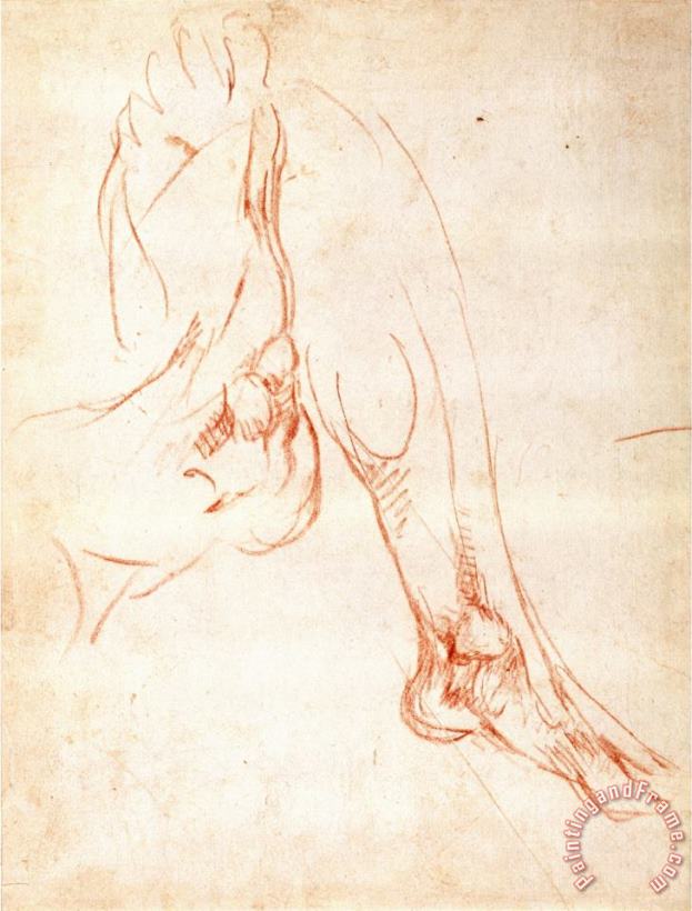 Michelangelo Buonarroti Study of a Lower Leg And Foot Art Print