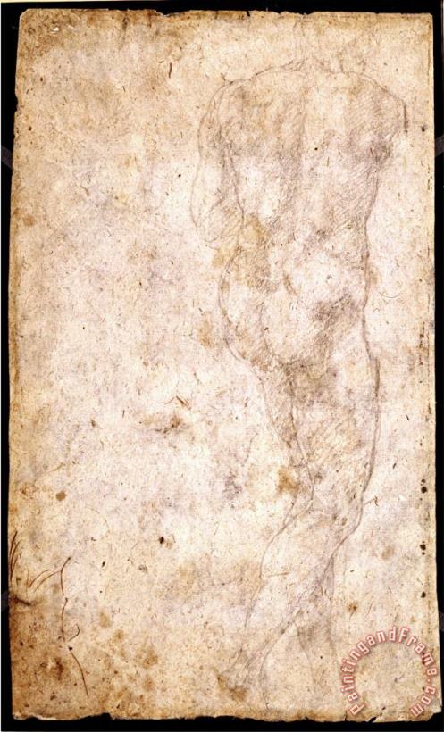 Michelangelo Buonarroti Study of a Male Nude Art Painting
