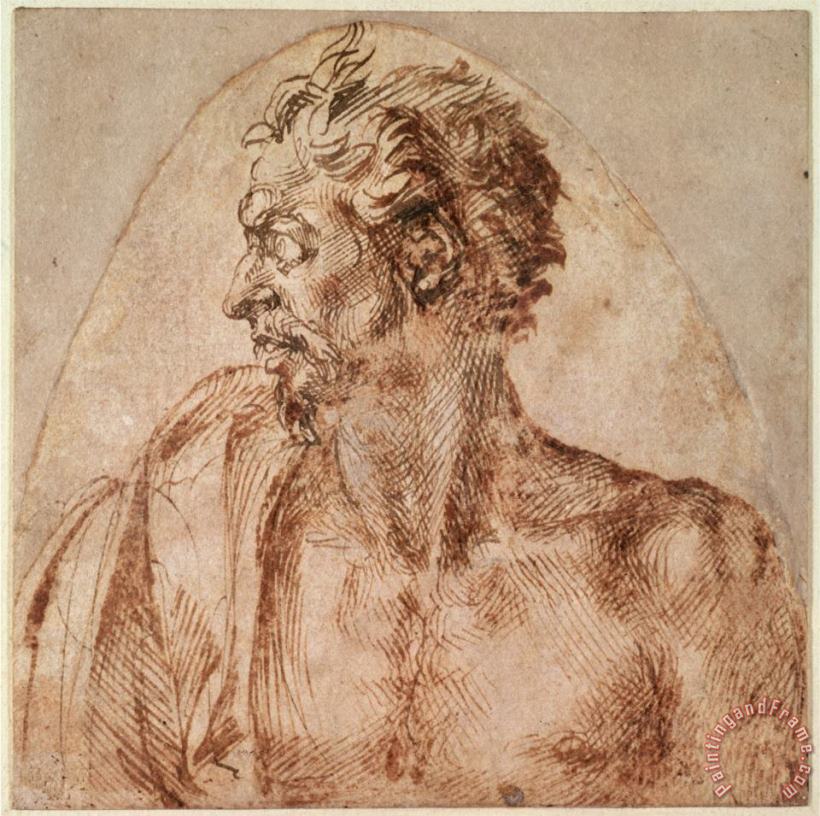 Study of Head And Shoulders painting - Michelangelo Buonarroti Study of Head And Shoulders Art Print