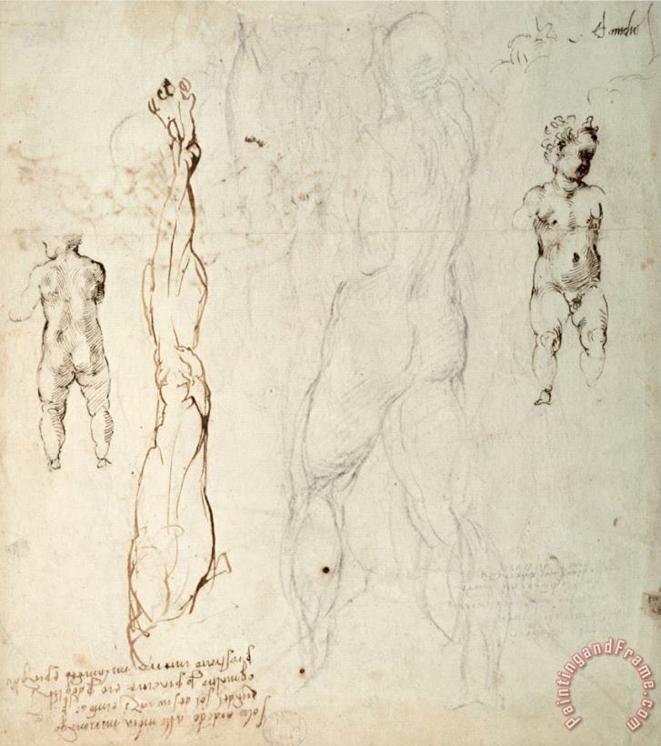 Michelangelo Buonarroti Study of The Christ Child And an Anatomical Drawing with Notes Art Print