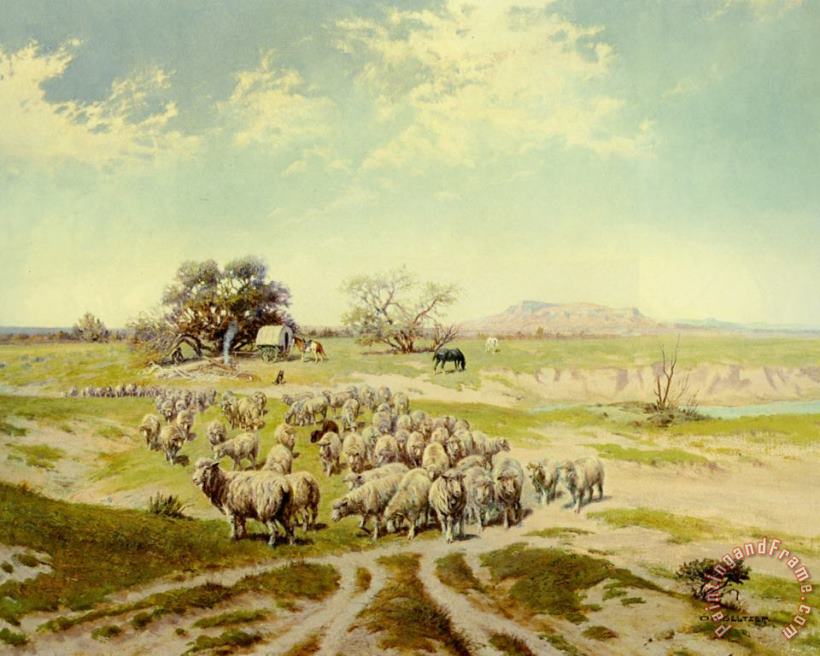 Shepherding Montana painting - Olaf C. Seltzer Shepherding Montana Art Print