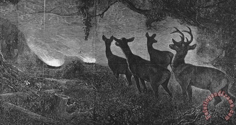 America: Deer Hunt, 1867 painting - Others America: Deer Hunt, 1867 Art Print