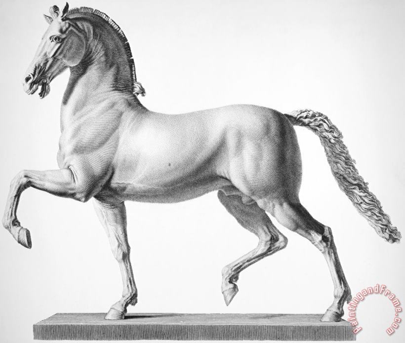 Canova: Horse painting - Others Canova: Horse Art Print