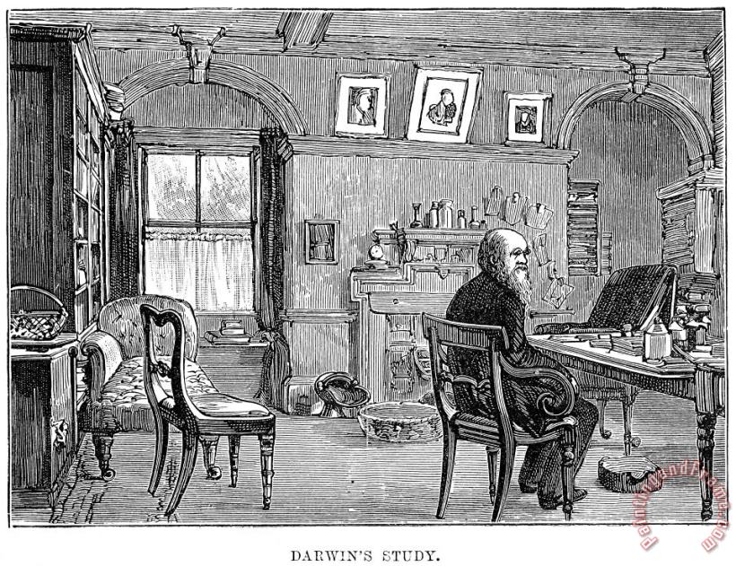 Charles Robert Darwin painting - Others Charles Robert Darwin Art Print
