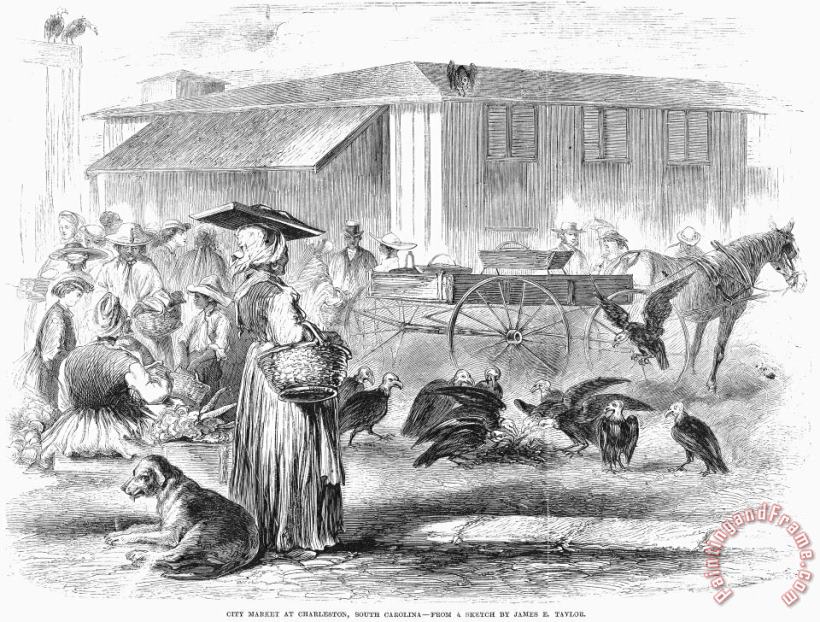 Charleston: Market, 1866 painting - Others Charleston: Market, 1866 Art Print