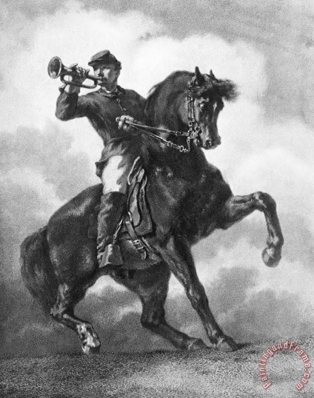 Civil War: Bugler, 1863 painting - Others Civil War: Bugler, 1863 Art Print