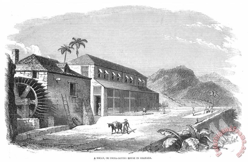 Others Cocoa Plantation, 1857 Art Painting