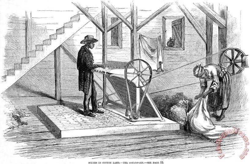Cotton Gin, 1871 painting - Others Cotton Gin, 1871 Art Print