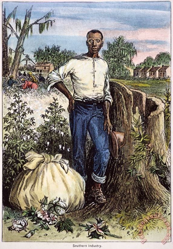 Others COTTON PLANTATION, 19th C Art Painting