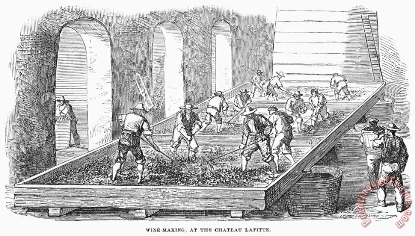 Others France: Winemaking, 1854 Art Print