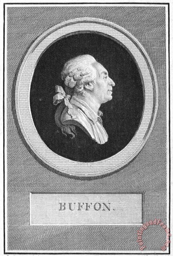 Others GEORGES LOUIS de BUFFON Art Painting
