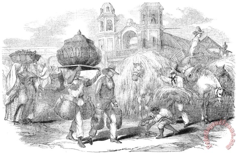 Others Havana, Cuba, 1853 Art Print