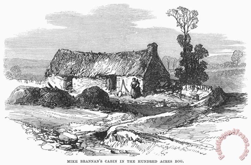 Others Ireland: Cabin, 1870 Art Print