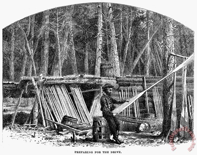 Lumbering: Log Drive, 1868 painting - Others Lumbering: Log Drive, 1868 Art Print