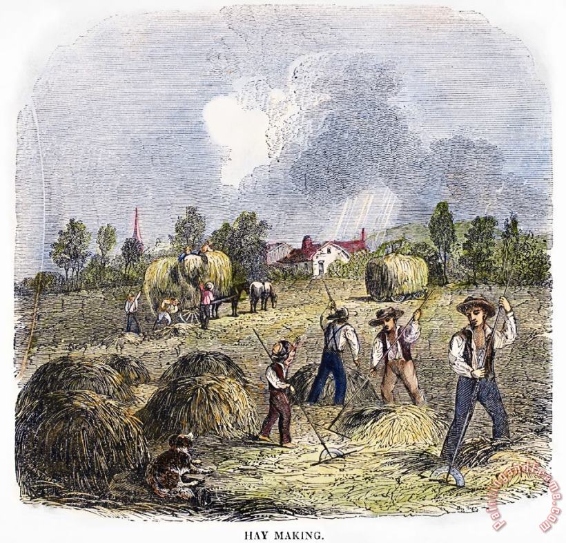 Others MAKING HAY, c1850s Art Painting