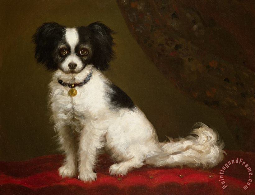 Others Portrait of a Spaniel Art Painting