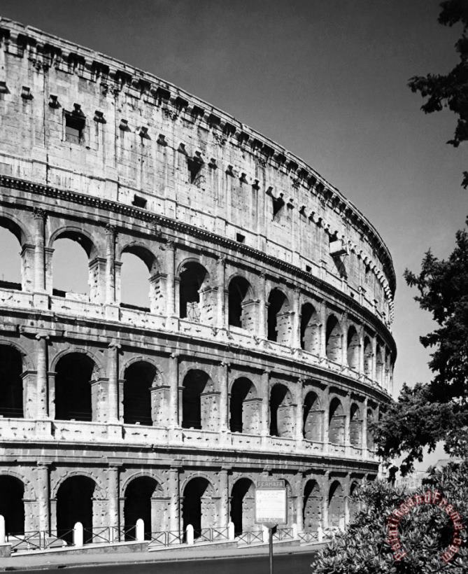 Others Rome: Colosseum Art Print