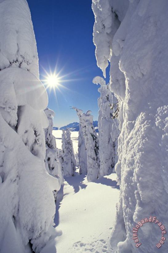 Others Snowscape Snow Covered Trees And Bright Sun Art Print