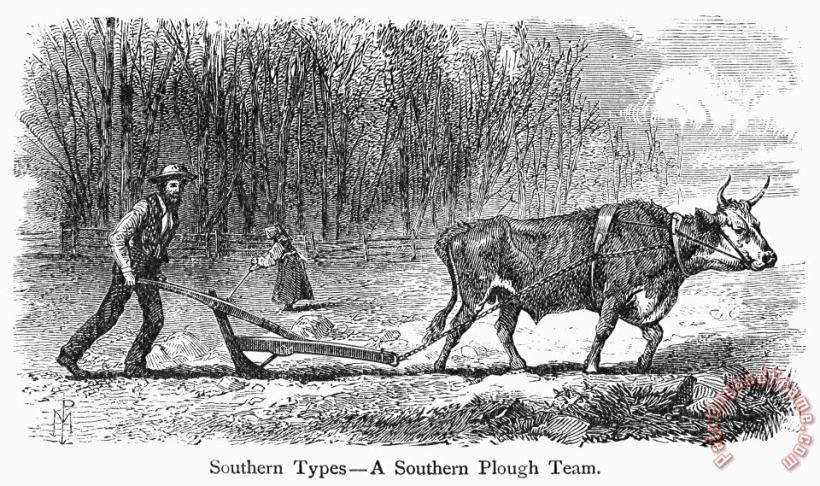 Southern Farmer, 1875 painting - Others Southern Farmer, 1875 Art Print