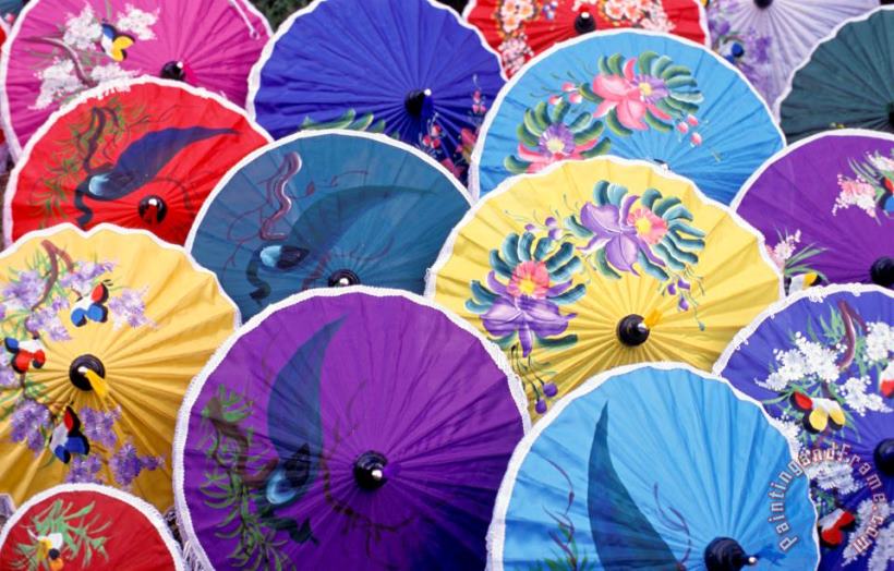 Others Thailand. Chiang Mai Region. Umbrellas Art Print