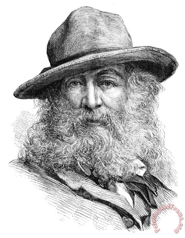 Others Walt Whitman (1819-1892) Art Print