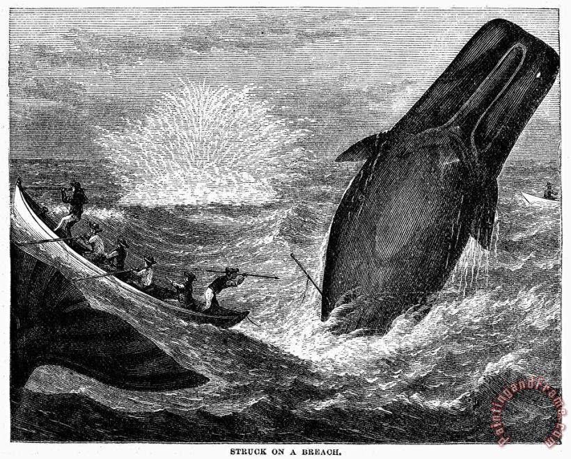 WHALING, 19th CENTURY painting - Others WHALING, 19th CENTURY Art Print