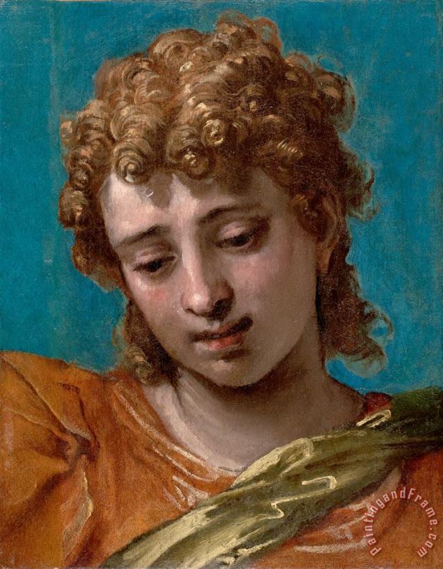 Head of Saint Michael, From The Petrobelli Altarpiece painting - Paolo Caliari Veronese Head of Saint Michael, From The Petrobelli Altarpiece Art Print