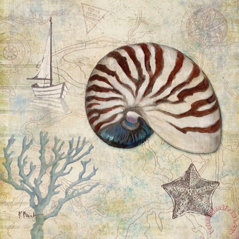 Discovery Shell I painting - Paul Brent Discovery Shell I Art Print