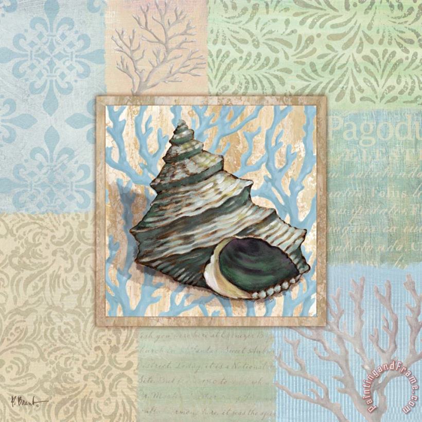 Oceanic Shell Collage II painting - Paul Brent Oceanic Shell Collage II Art Print