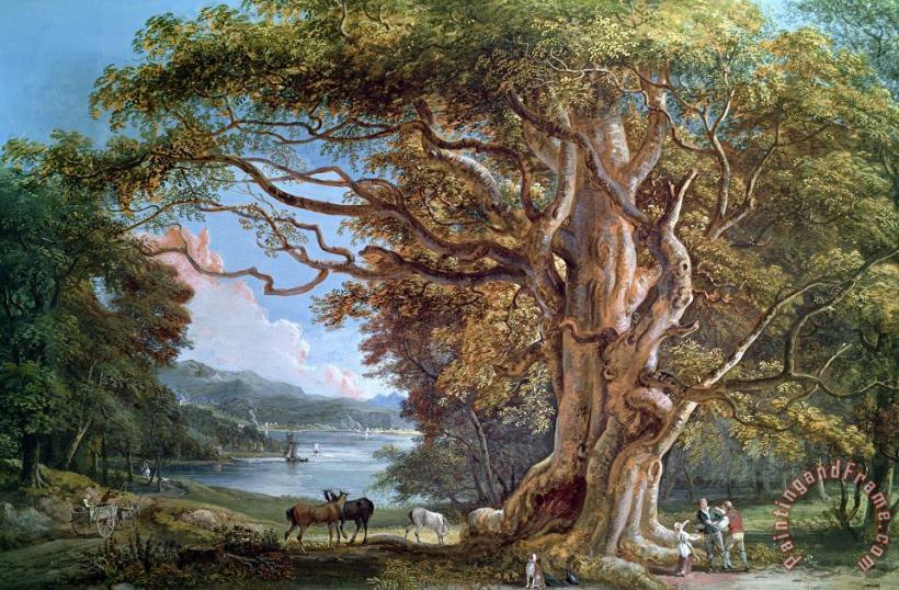 An Ancient Beech Tree painting - Paul Sandby An Ancient Beech Tree Art Print