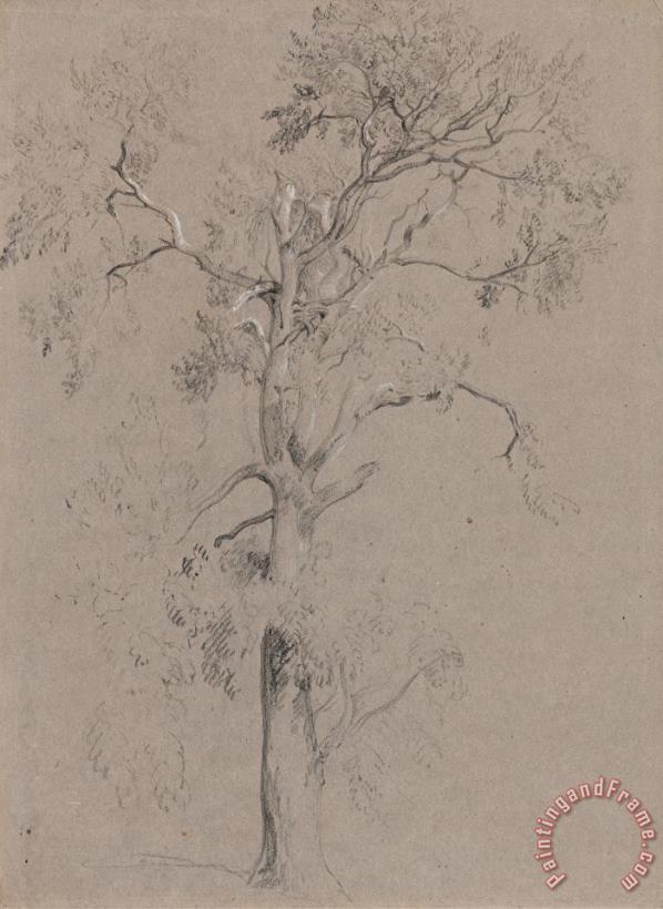 Peter de Wint Ash Tree in Ashstead Park Art Print