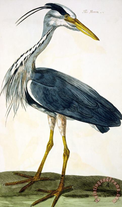 Peter Paillou The Heron Art Painting