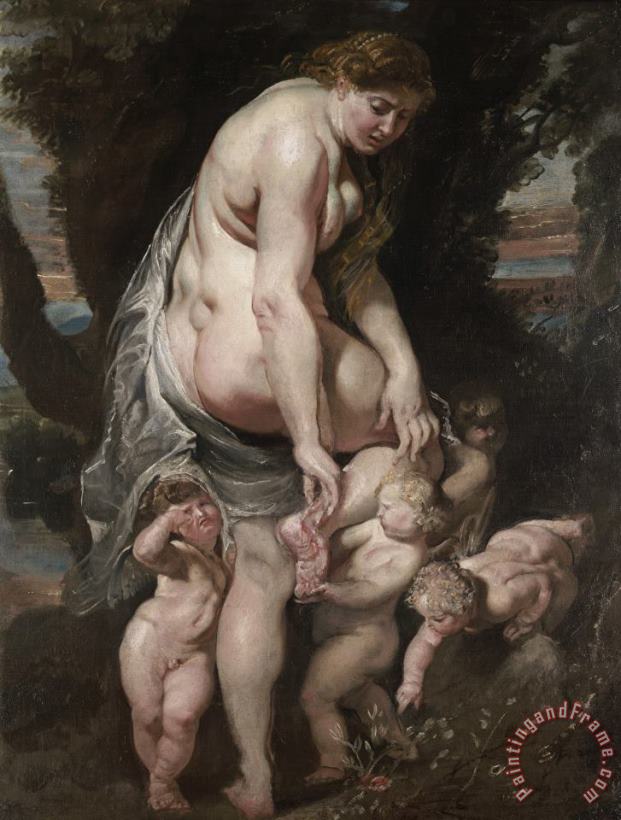 Venus Wounded by a Thorn painting - Peter Paul Rubens Venus Wounded by a Thorn Art Print