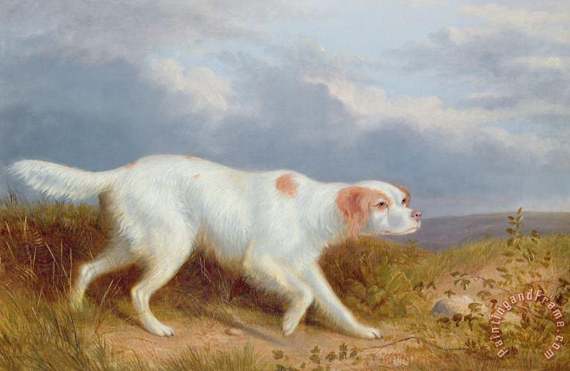 Philip Reinagle A Setter on the Moor Art Painting