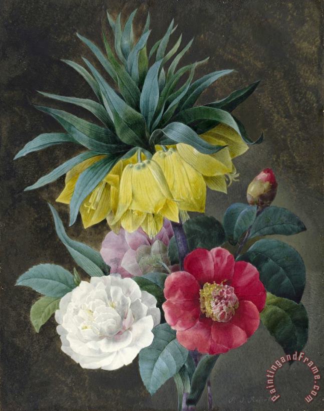 Pierre Joseph Redoute Four Peonies And a Crown Imperial Art Painting