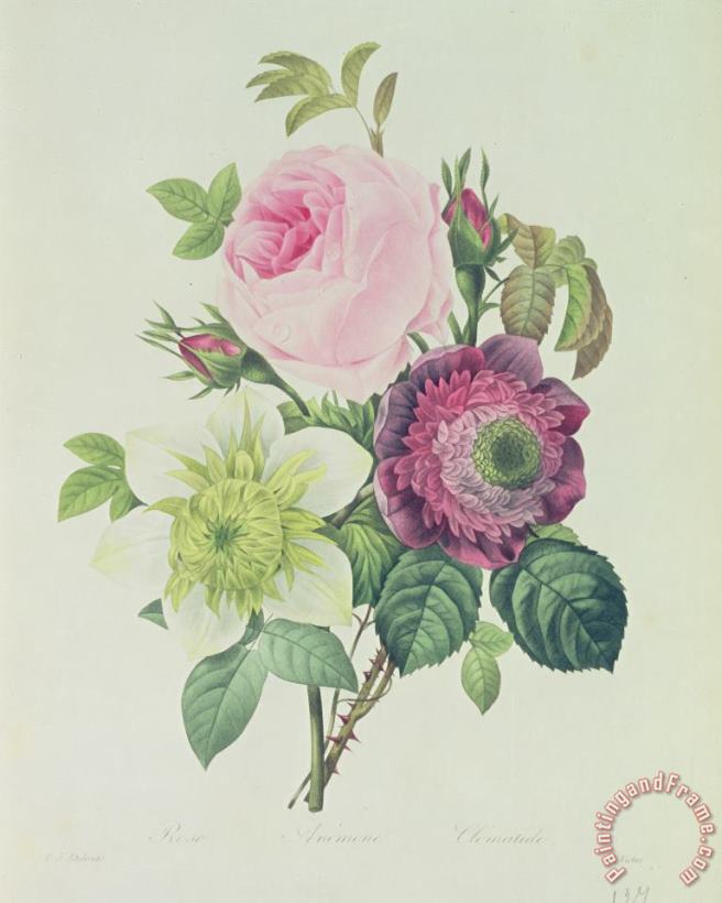 Pierre Joseph Redoute Rose Art Painting