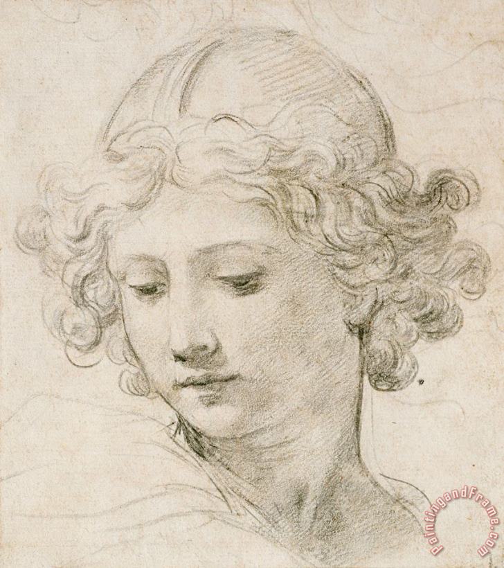 Pietro da Cortona Head Of An Angel Art Print