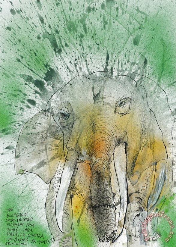 African Asian Elephant, 2017 painting - Ralph Steadman African Asian Elephant, 2017 Art Print