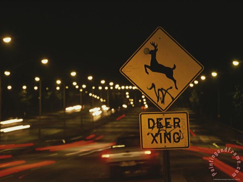 A Deer Crossing Sign in The Middle of Roosevelt Boulevard painting - Raymond Gehman A Deer Crossing Sign in The Middle of Roosevelt Boulevard Art Print