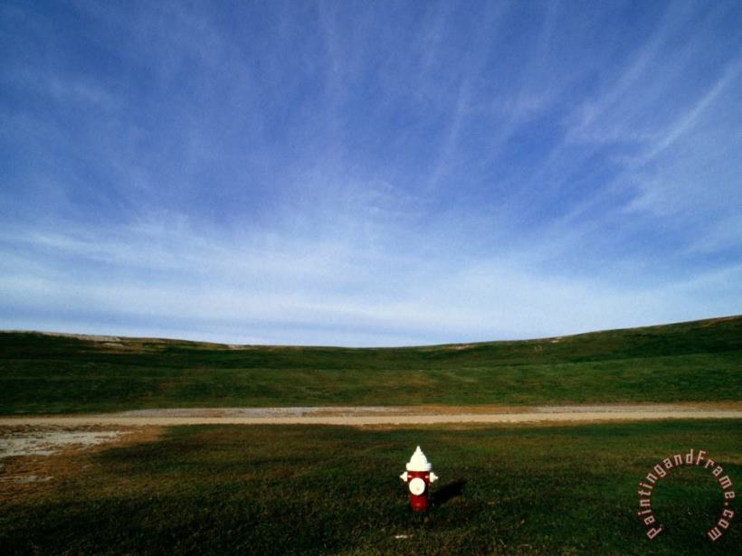 A Fire Hydrant in a Green Field Under a Wide Blue Sky painting - Raymond Gehman A Fire Hydrant in a Green Field Under a Wide Blue Sky Art Print