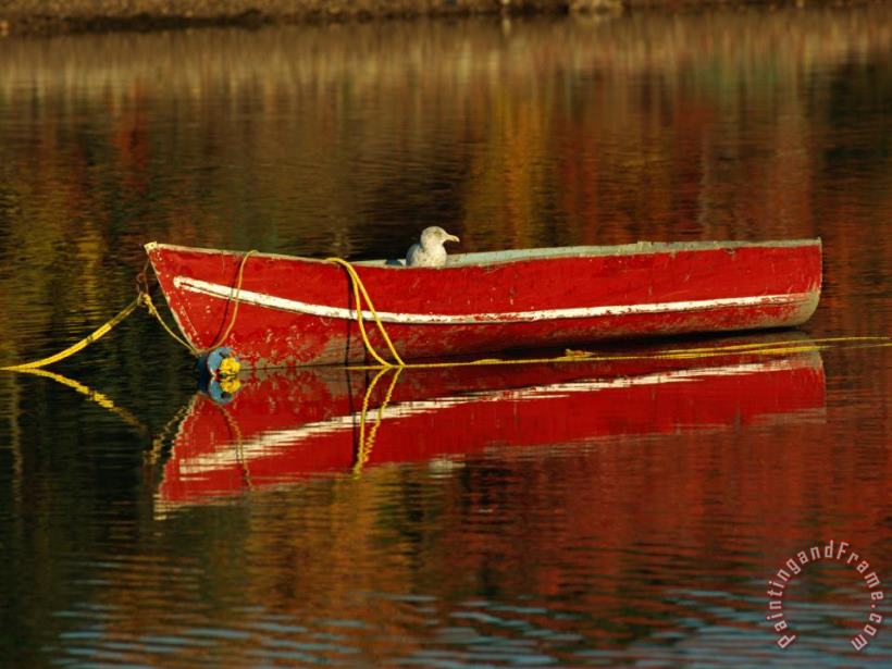 Raymond Gehman A Gull Rests on an Old Rowboat Art Painting