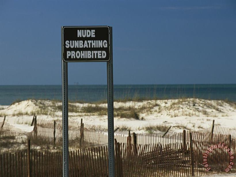 Raymond Gehman A Sign on a Public Beach Warns of No Nude Sunbathing Art Painting