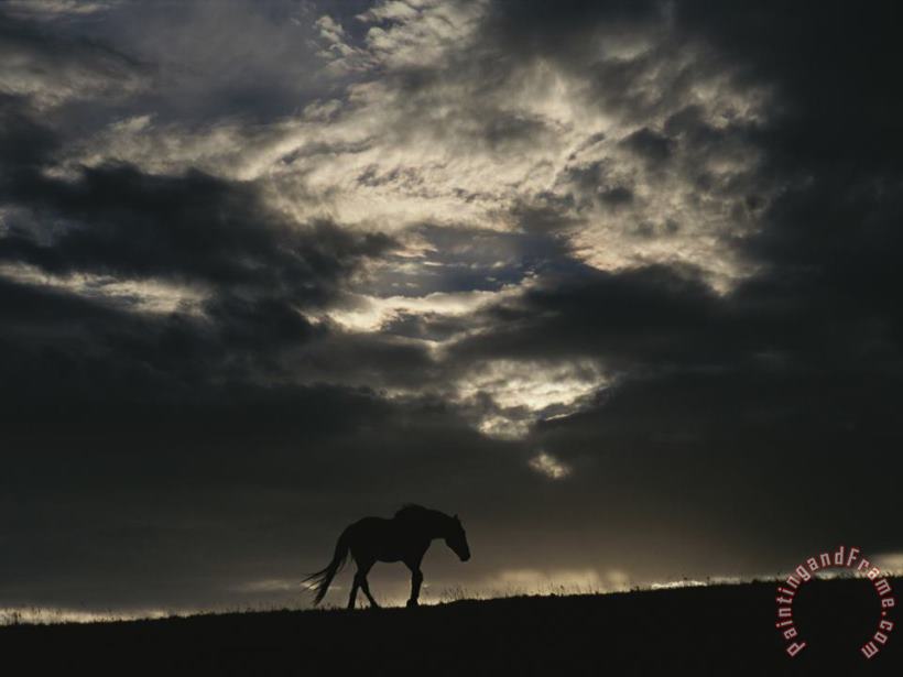 Raymond Gehman A Wild Horse Is Silhouetted Under Ominous Storm Clouds Art Painting