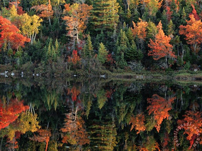 Raymond Gehman Autumn Foliage Reflected in a Canadian Lake Art Painting