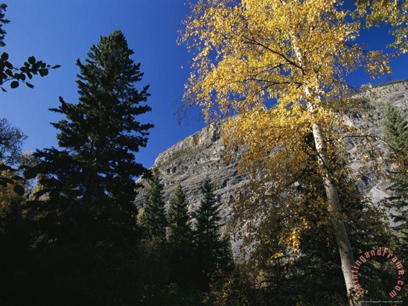 Raymond Gehman Autumn Foliage Surrounds The Limestone Face of The Nahanni Mountain Range Art Painting