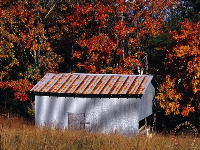Autumn View of an Old Tin Barn at The Edge of The Woods painting - Raymond Gehman Autumn View of an Old Tin Barn at The Edge of The Woods Art Print