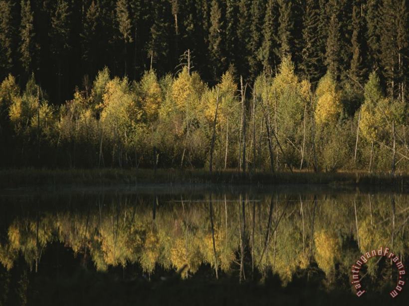 Autumnal Beauty Reflected in a Still Creek painting - Raymond Gehman Autumnal Beauty Reflected in a Still Creek Art Print