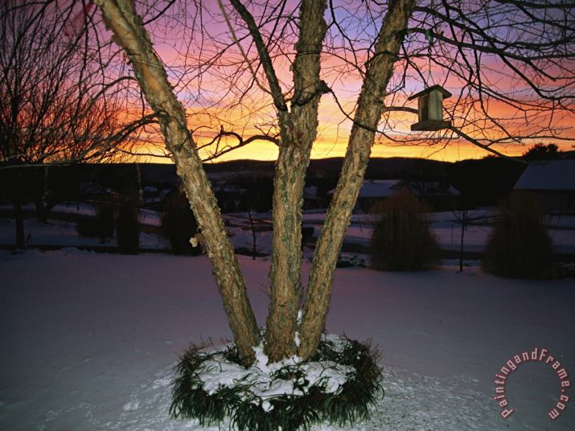 Raymond Gehman Brilliant Dawn Rises on a Tree And Birdhouse on a Snow Covered Yard Art Painting
